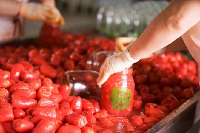 La differenza fra pelati passata polpa e salsa di pomodoro?