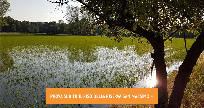 Risaia Riserva San Massimo