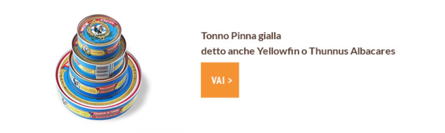 tonno pinna gialla